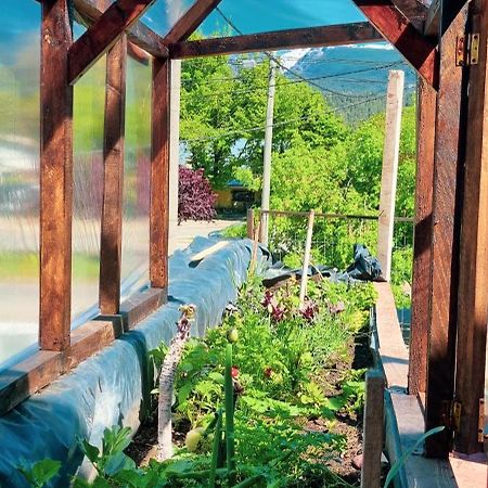 Posada Del Buscador El Bolsón エクステリア 写真